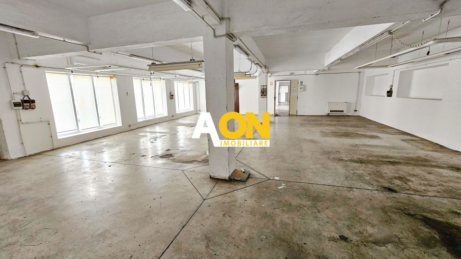 Spatiu industrial pentru productie sau depozitare, 1600 mp, Sebes - Poză 11
