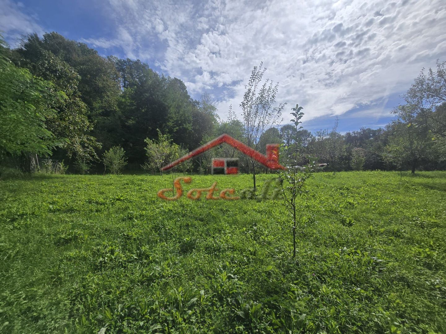 Oportunitate de investiție în Breaza – teren intravilan de 3.591 mp - Poză 13