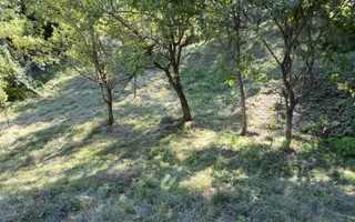TEREN 3200 MP GODENI ARGEȘ - Poză 20