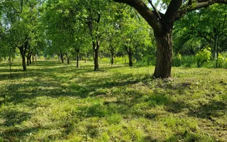 Teren cu utilități 2052 mp - Oradea - str. Făgetului - Poză 16
