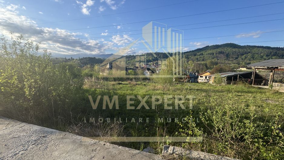 TEREN INTRAVILAN 2500 MP GRUI CAMPULUNG - Poză 6