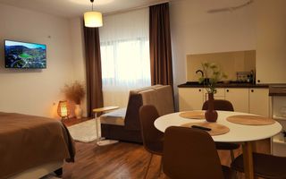 Garsonieră de Închiriat  | Open-space  | 36 MPU | Turnișor - Poză 3