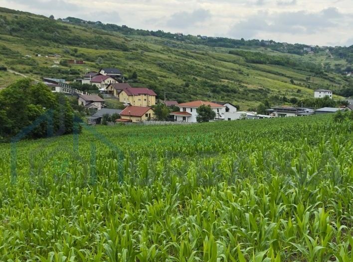 Teren extravilan parcelabil de 9.300 mp în Dorobanți/Aroneanu, aproape de Baza Nautică - Poză 1