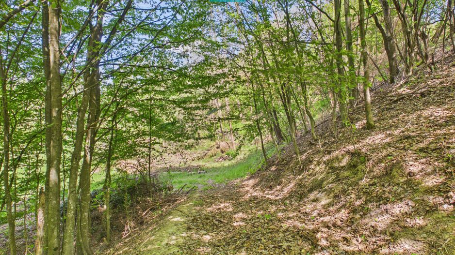 Proprietate rară cu 24.270 mp, în Măgulicea, Arad! - Poză 30