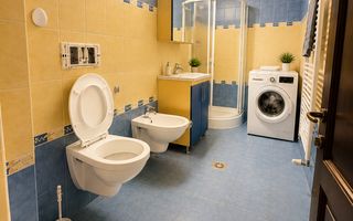Bucovina–Mehala | 15 camere | 728 mp teren | Proprietate multifuncțională - Poză 41