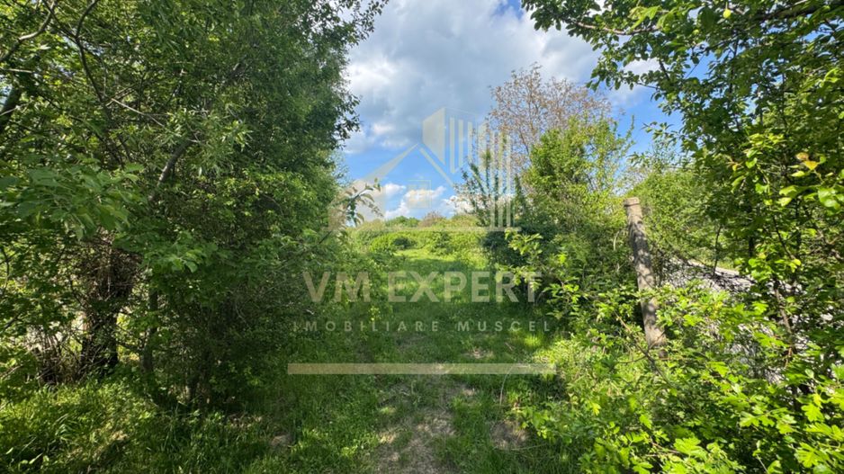 TEREN INTRAVILAN 2943 MP CAMPULUNG - Poză 8