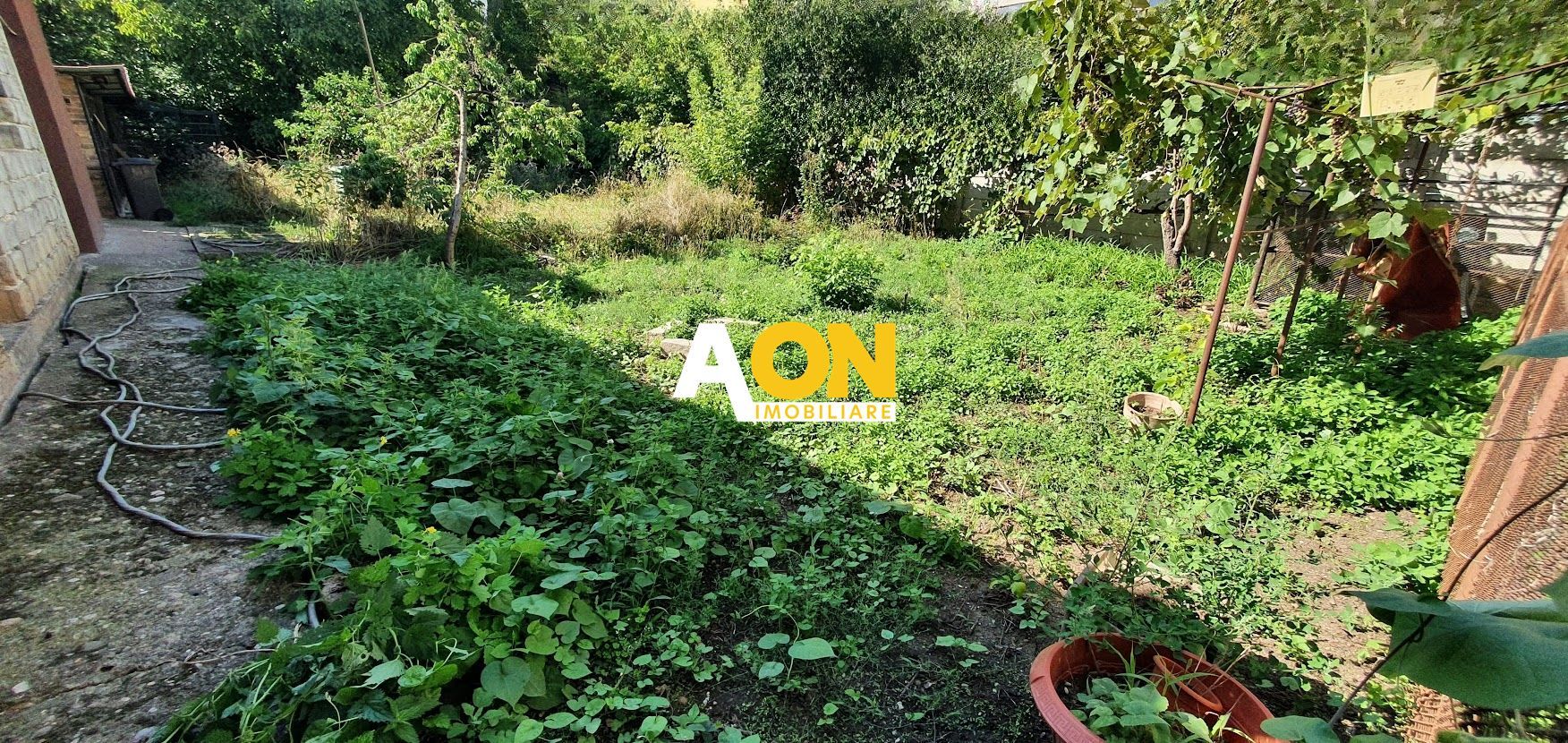 Casa cu 5 camere, 768 mp teren, Cetate - Poză 3