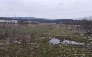 Teren intravilan 7500 mp - Poză 2