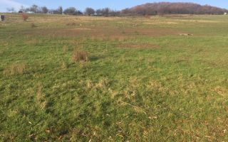 Parcele de 3000/5700 mp-investitie-Zona Subcetate-EXCLUSIVITATE - Poză 1