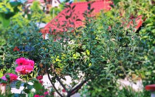 AZURA Imobiliare Pitesti - Casa Gavana Pozitie Excelenta - Poză 67