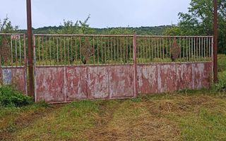 Tren si casa de vacanta in Panticeu - Poză 7