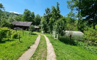 Casa de la marginea padurii! - Poză 13