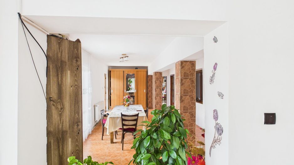 Casă individuală la Beregsău Mare, 1590 mp teren - Poză 5