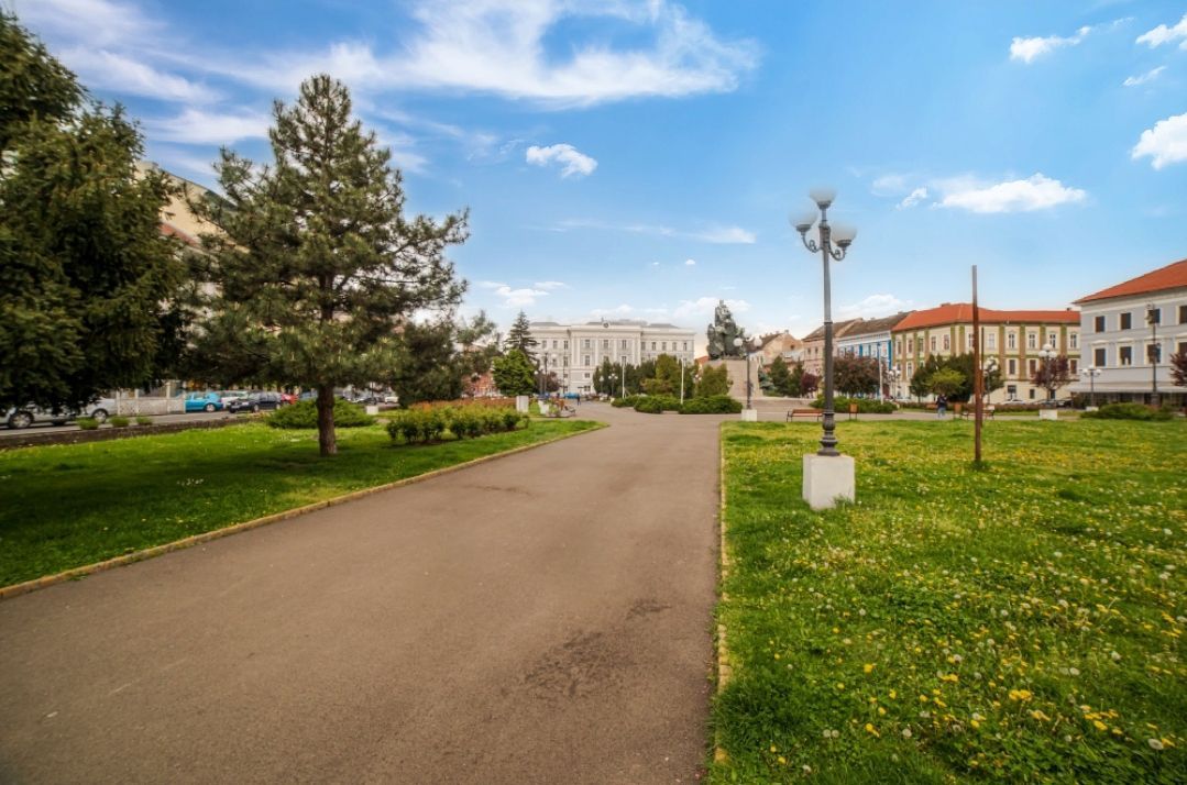 Apartament ultracentral la 1 minut de teatru - Poză 8