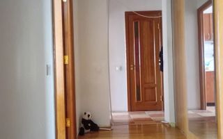 Vând 3 Camere decomandat  Brâncoveanu PANOURI SOLARE - Poză 5