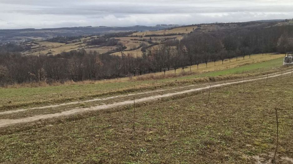 Teren cu o priveliste superba langa padure - Poză 3