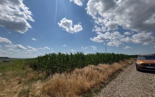 Teren Intravilan de Vanzare in Letcani, Judetul Iasi - 3.684 mp - Poză 1