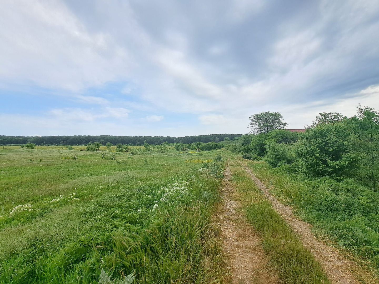 Loturi de teren intravilan 300 mp - Andronache - Poză 1