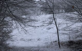 Teren cu izvor de apă minerală  Dangești, Punctul Valea Mare - Poză 4