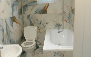 Casă tradițională de vânzare în Vorovești, Miroslava – 3 camere, 55 mp, teren 975 mp - Poză 2