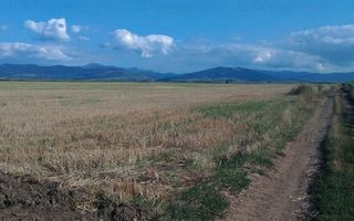 Teren extravilan Prejmer - Poză 6