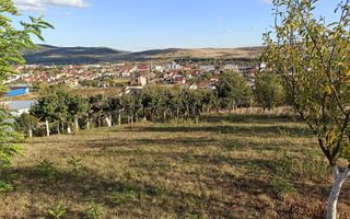 Teren intravilan 730 mp-livada-vedere panoramica-Valea Sigmirului - Poză 1
