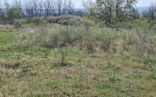 Teren de vanzare in zona Platou, toate utilitatile, 1000MP - Poză 2