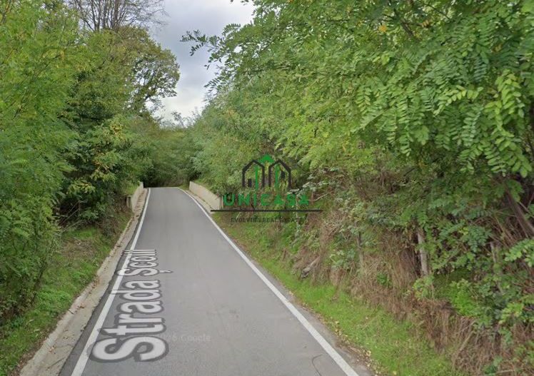Teren 12.690 mp | 3.900 mp intravilan | Ocnele Mari- Slatioarele - Poză 3