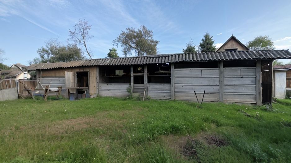 Casa la tara, gaz, acces auto, teren 4122 mp – Petid, Bihor – VANZARE - Poză 13
