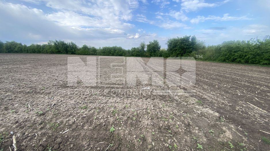 Teren Extravilan | 50 Ari | Horodnic De Jos - Poză 4