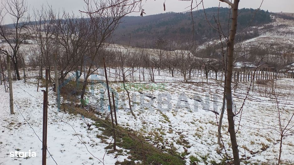 Teren intravilan 704 mp, acces asfaltat, priveliste Padurea Breazu - Poză 12