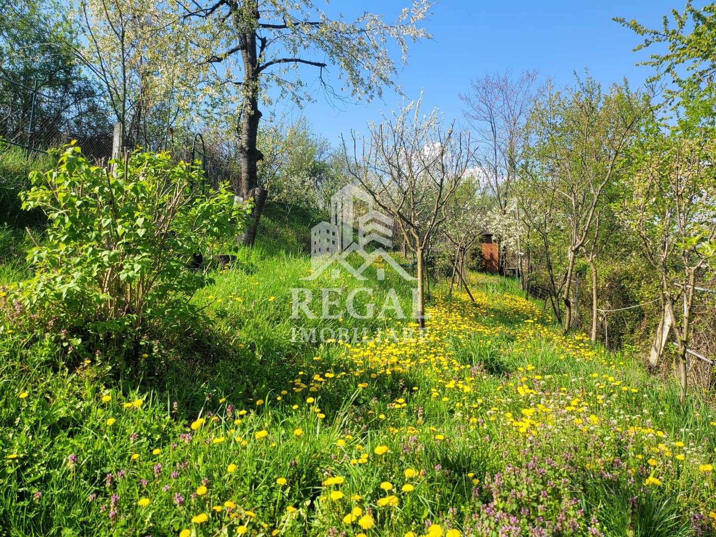 Casa cu patru camere in zona Chizid - Poză 15