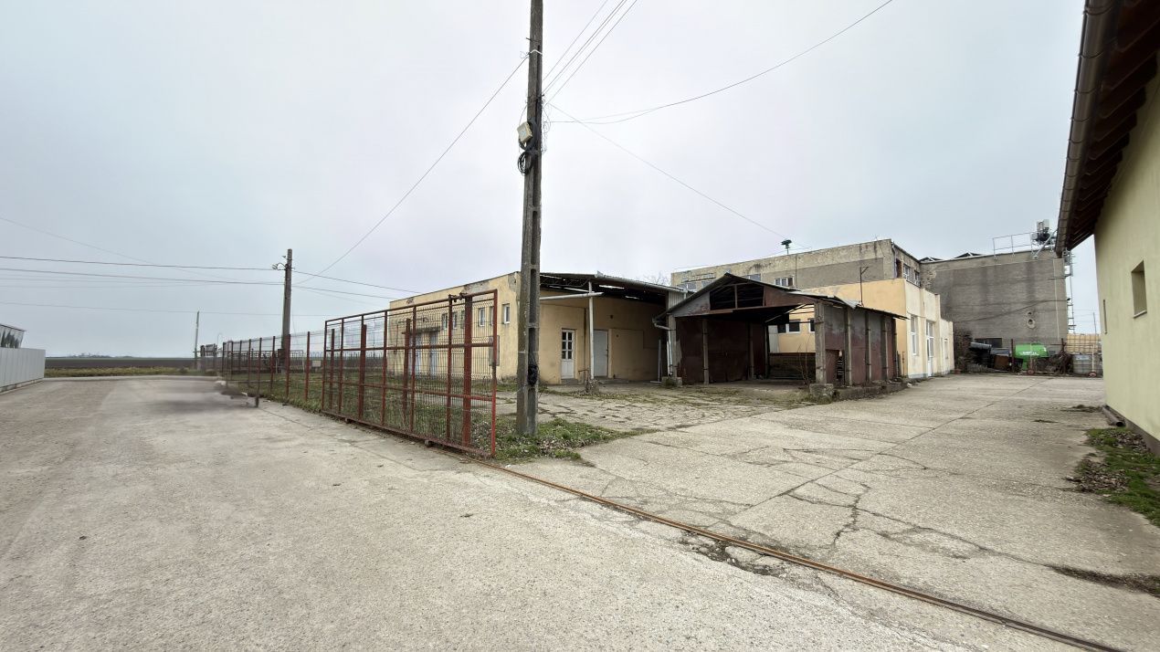 Inchiriere Clădire Producție, Depozitare 278 mp -Teren 1380 mp - Carei - Poză 2