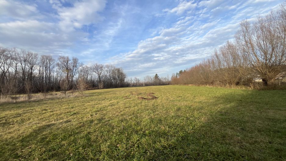 TEREN INTRAVILAN GENEROS | 72 ARI | GALANESTI - Poză 1