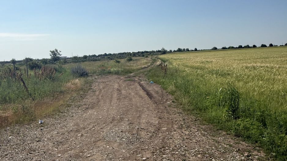 Teren 10 hectare pretabil pt panouri solare-Aricesti Rahtivani - Poză 14