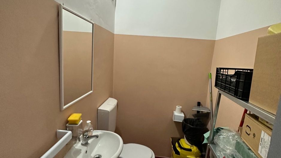 Casa individuala zona Drubeta teren 982 mp - Poză 17