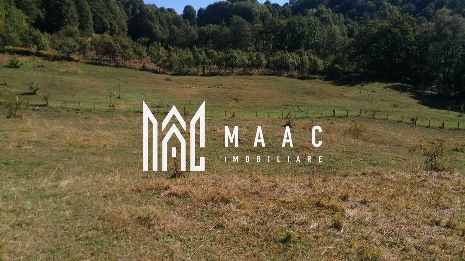 Teren Extravilan 20.000Mp I Stoenești -Vâlcea I Apă Curentă și Pădure - Poză 2