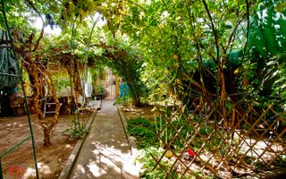 Vila cocheta, situata in centrul istoric al orasului - Poză 22