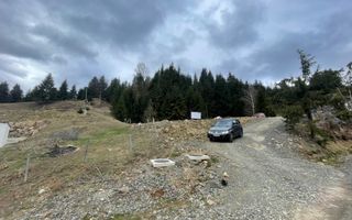 Teren parcelabil cu acces rapid la lacul Colibita - Poză 8