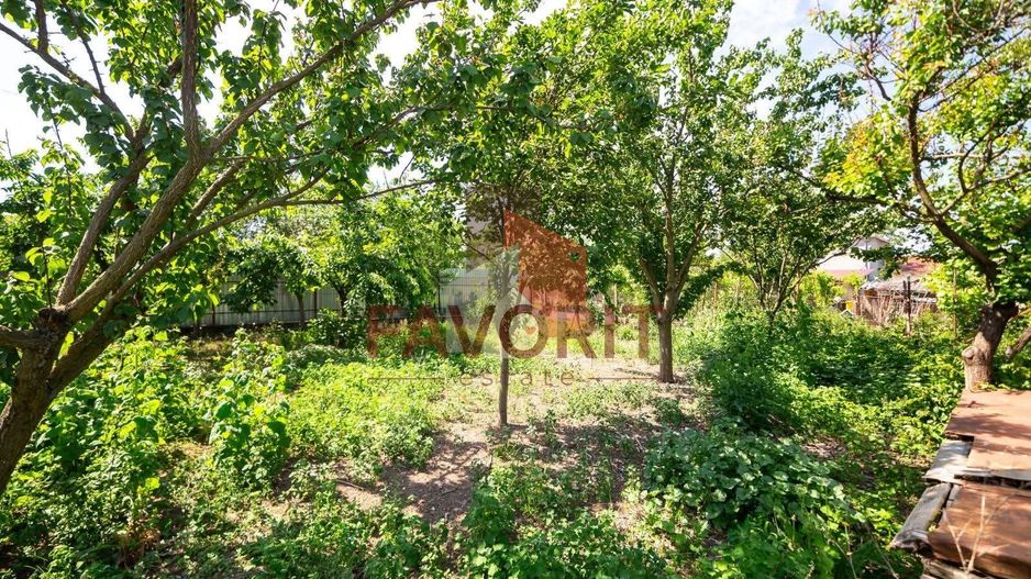 EXCLUSIVITATE – Comision 0% | Casa spatioasa | Santana - Arad - Poză 14