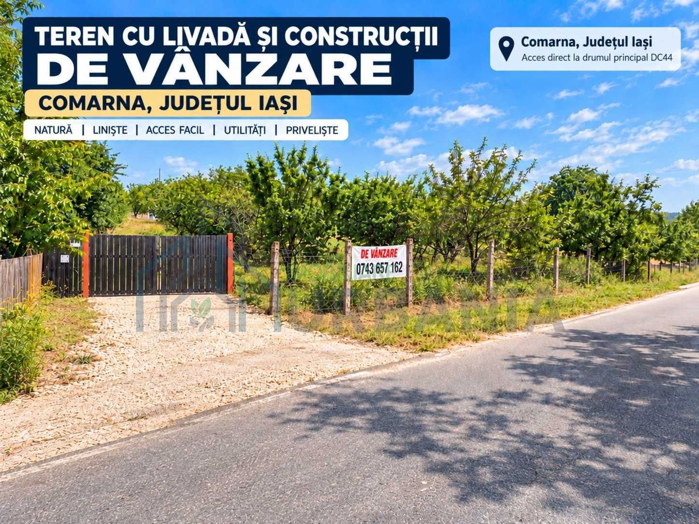 Proprietate de vânzare în comuna Comarna, județul Iași: teren intravilan și extravilan, livadă, vie și construcții existente - Poză 4