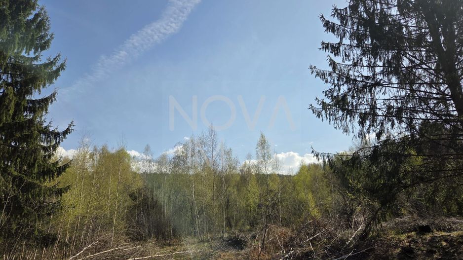 Teren intravilan de vanzare - Vistisoara - Poză 3