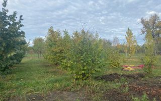 Vanzare casă cu teren generos în Săcueni, la 15 minute de Târgoviște - Poză 25