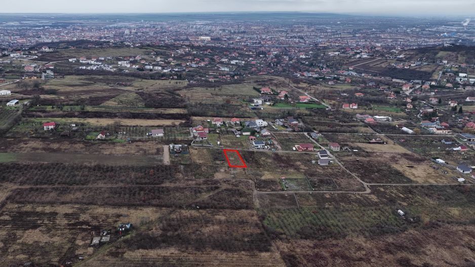 Teren Intravilan, Nicolae Beldiceanu - Poză 3