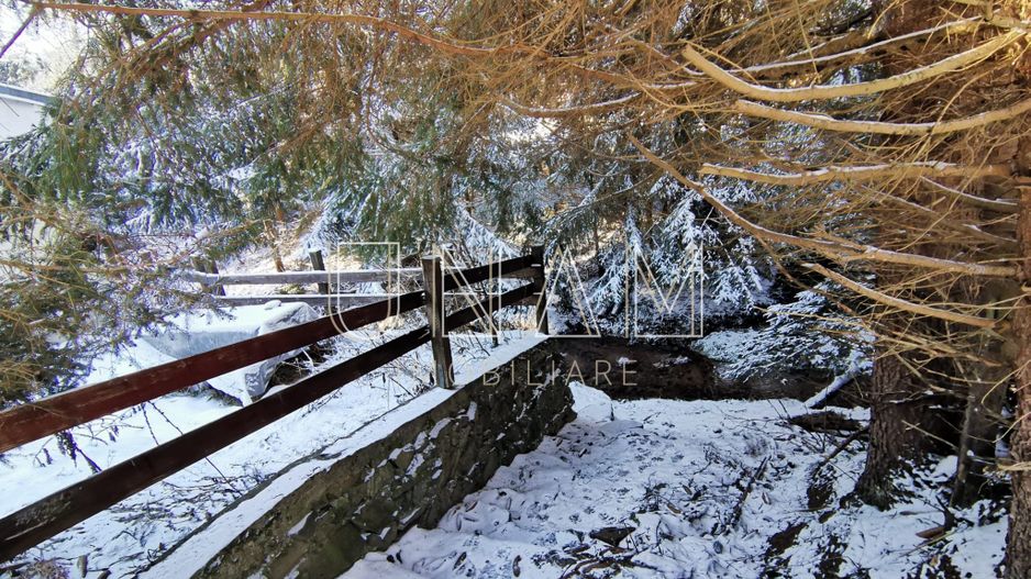 **VANDUT** Casă, Gărâna, munții Semenic, la doi pași de Scenă - Poză 12