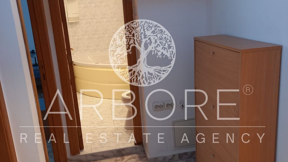 Inchiriere apartament 3 camere Unirii - Poză 13