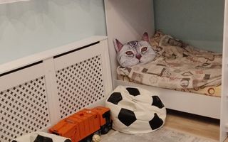 Apartament cu 3 camere | 75 mp | Zona Câmpului - Cartierul Mănăștur - Poză 6