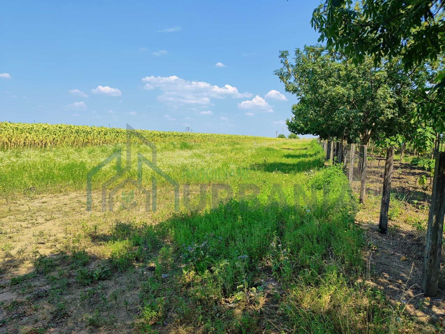 Teren intravilan de 1300 mp în sat Popricani, comuna Popricani, județul Iași - Poză 3