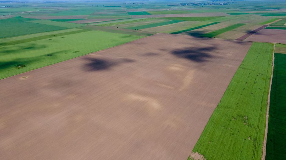 Teren de 5Ha în Satchinez. - Poză 6