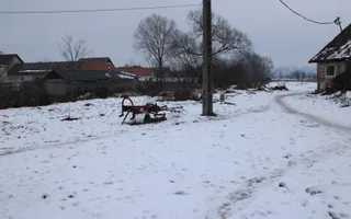 Fermă agricola funcțională de vanzare I Vurpar - Poză 12